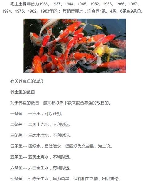 養幾條魚最好|【魚要養幾隻比較好】家裡養幾條魚財運好？養單數吉利還是雙。